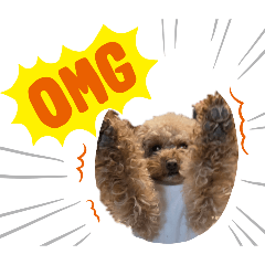 PAPICO_20260123214304