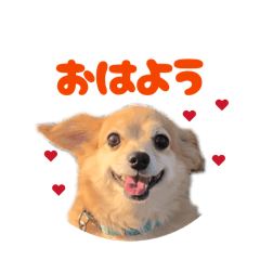 aiharu_20260123182359