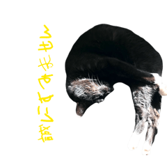 whooooooooooo!_20260123220341