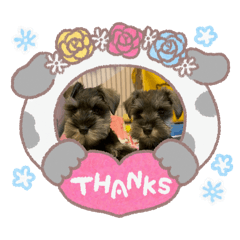 milpote_20260123220106