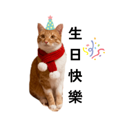 LUMI是世界上最可愛的喵