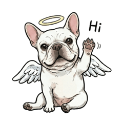 我是法國鬥牛犬「龍龍」