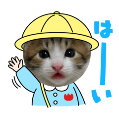 Yoshie_20260123233245