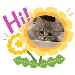 Bibaly1214_20260123194609