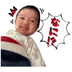 miya_20260123225842