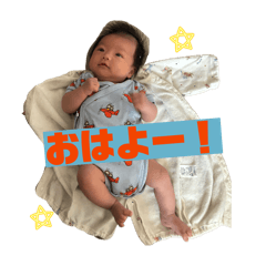 pyonpoki_20260123210736