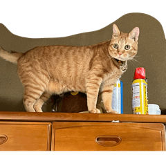 taken_20260123210636