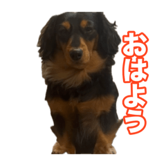 michi_20260123211558