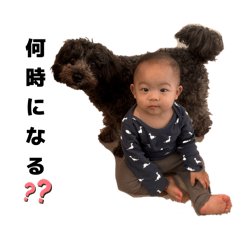 shushushu_20260123211021