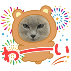 happy-long_20260123222847