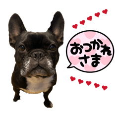 momo_20260123223143