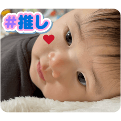 tsugutsugu_20260124094241