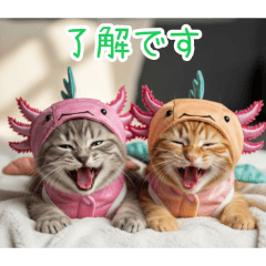 [了解です専用]ウーパールーパー猫