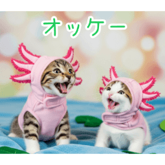 [オッケー専用]ウーパールーパー猫