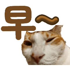 咪咪專屬(official version)-若若出品