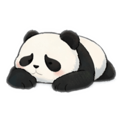 Shiba_20260123232949