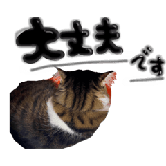 k_20260124115059