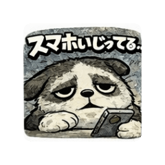 kinkin_20260124120616