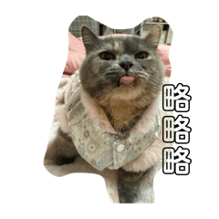 rrrry_20260123044620