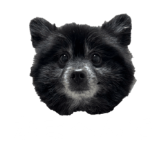 bluei_20260122120530