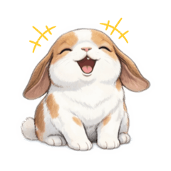 Shiba_20260124001043