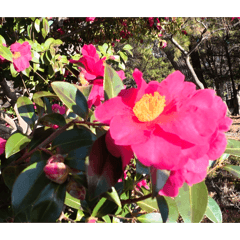 Moritahirofumi_20260122084126