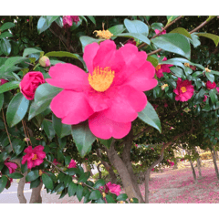 Moritahirofumi_20260122085516