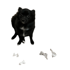 ChitamaX_20260124024441