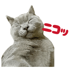 GOMA&COME_20260124072355