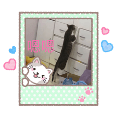 我最想念的寶貝兒子