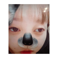 nanaco3659201_20260123154519