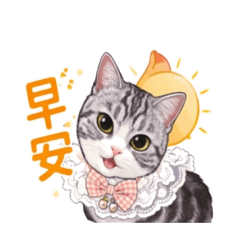 《小圓臉貓咪の日常回應》