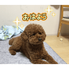 kinacoco_20260124103006