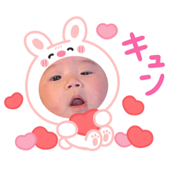 dashimaki_20260124111802