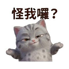 Sassy Cat's Eye Rolls: Blame Me?