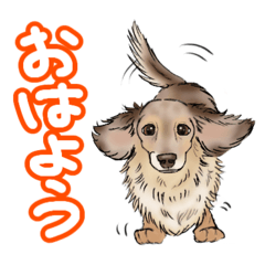 azisai_20260124124634