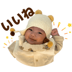 kiichan_20260124123259