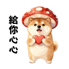 菇狗柴犬奏嘛該