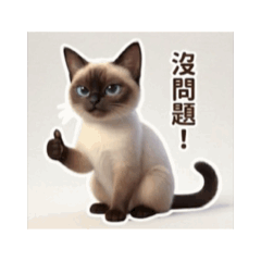 The Siamese cat's silly diary.