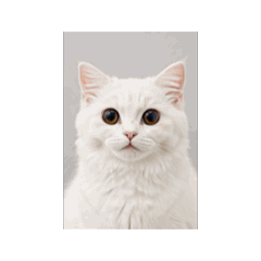 Ryan2015_20260123201417