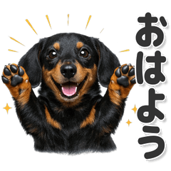 毎日使える！ ダックスフンド