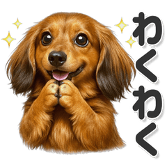 毎日使える ミニチュアダックスフンド