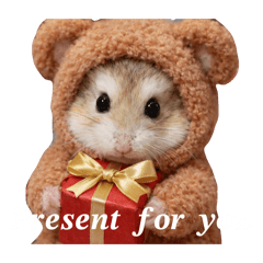 hiro suke_20260124164508