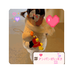 Risa_20260124222407