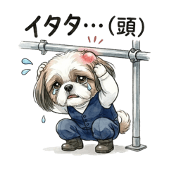 yupiyuta_20260124034046