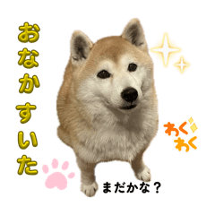 re-na_20260124170905