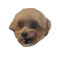 Fun Kurumi-chan stamps 4