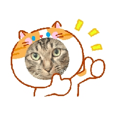 miori_20260125092714