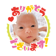 yuka_20260124170915