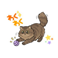 TSUMIKIsan_20260124191921